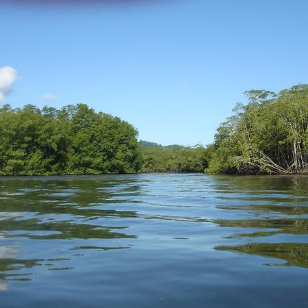 Isla Violin Eco-Lodge Drake Bay Exterior photo