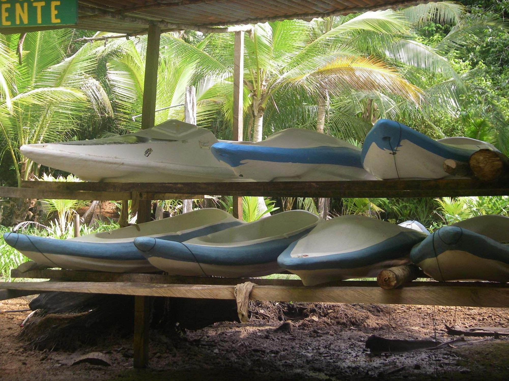 Isla Violin Eco-Lodge Drake Bay Exterior photo