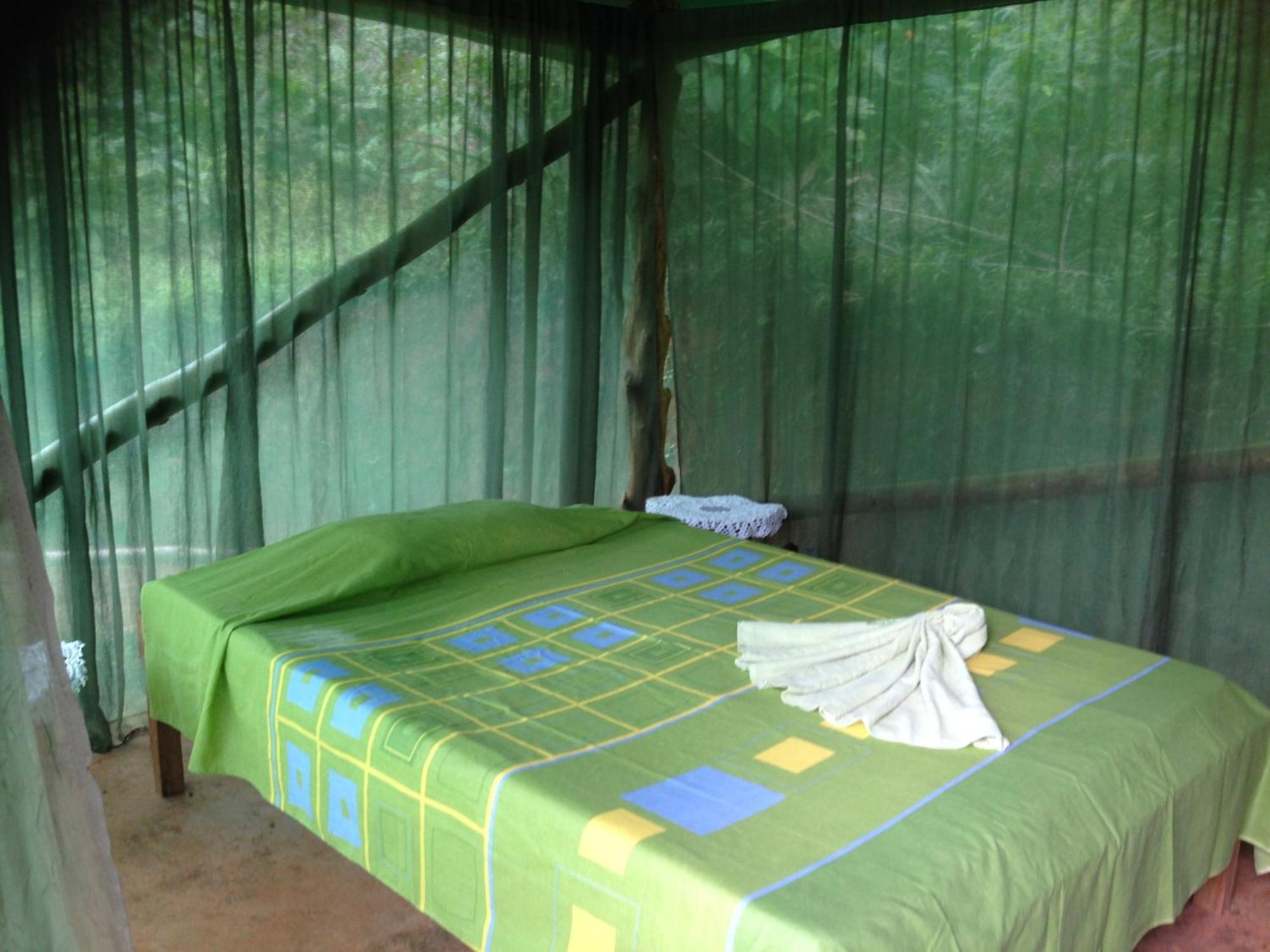 Isla Violin Eco-Lodge Drake Bay Room photo