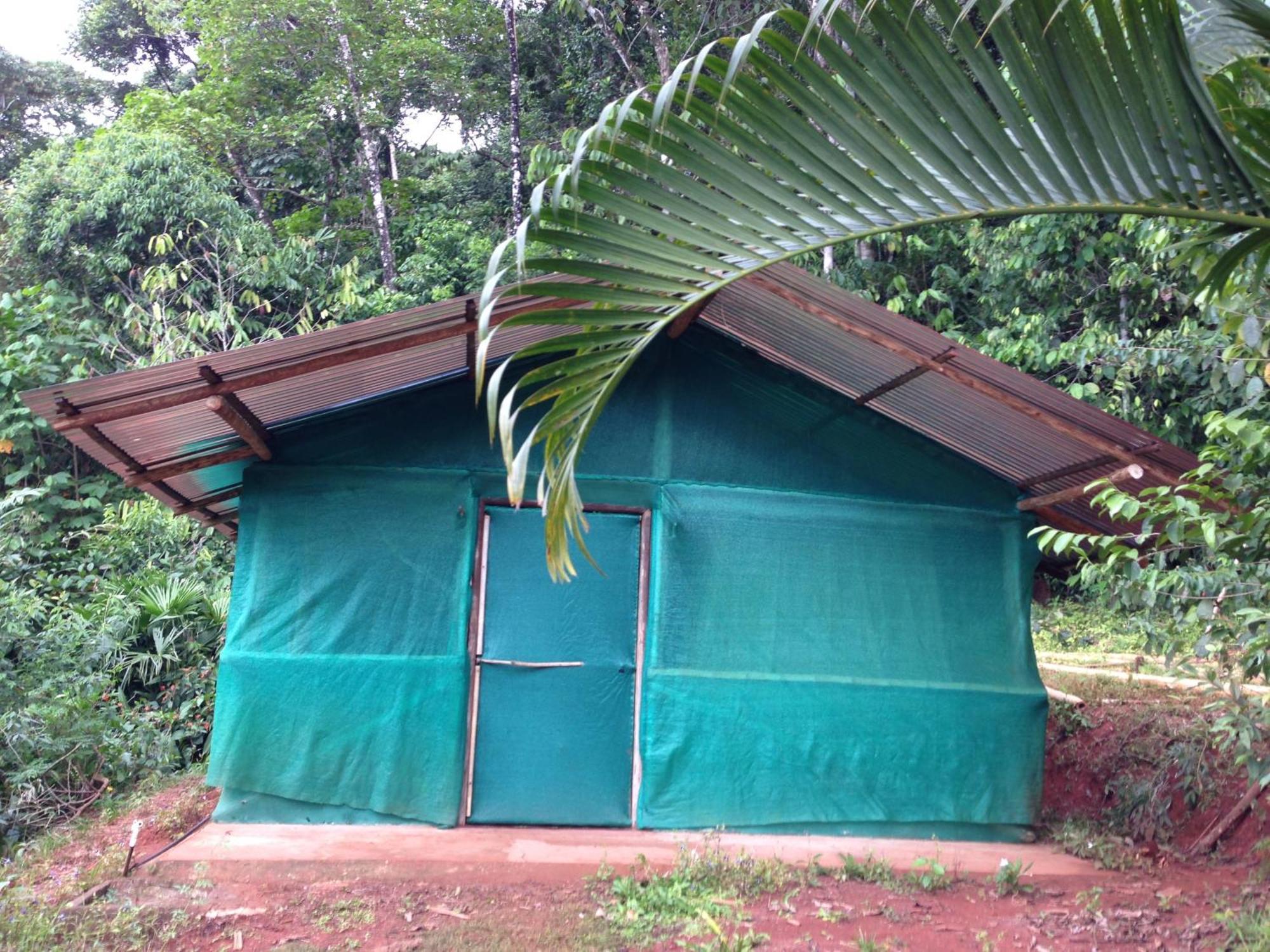 Isla Violin Eco-Lodge Drake Bay Room photo