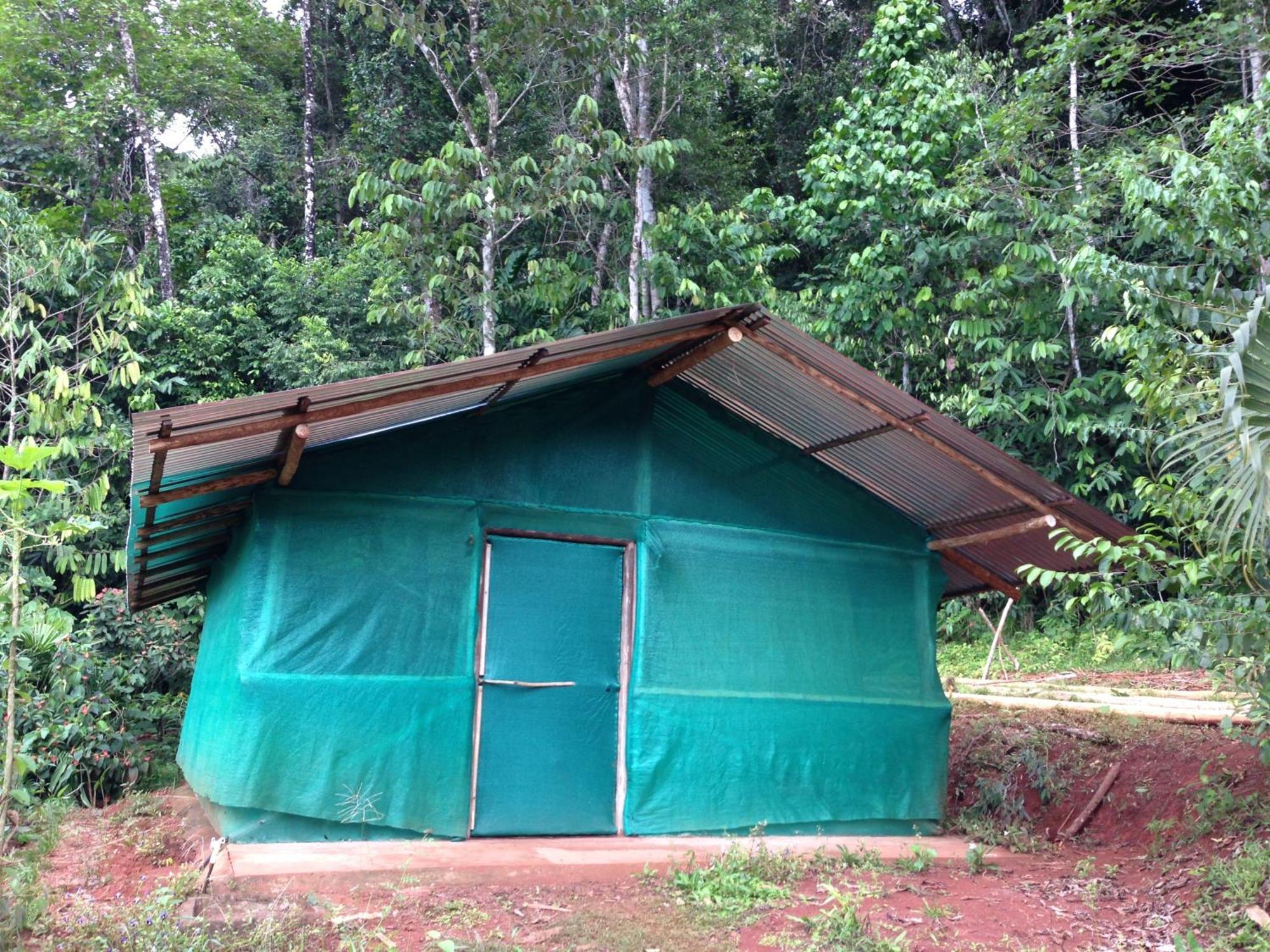 Isla Violin Eco-Lodge Drake Bay Room photo